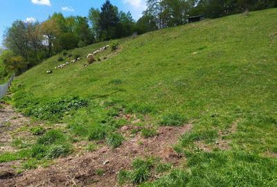 Namaesti - Valea Mare Pravat, 7000 mp. teren intravilan cu pozitie excelenta - 6