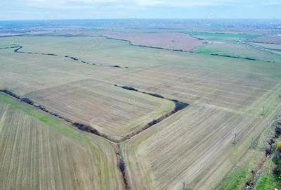 Teren de 540 mp, în Bucovăț (Remetea Mare)