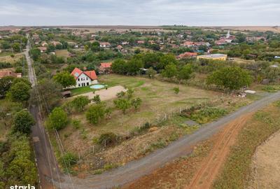 Teren de 1584 mp, în Pișchia - 13