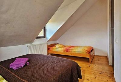 Casă cu 4 camere cu Teren 3000 Mp în Dosu Bricii - 8