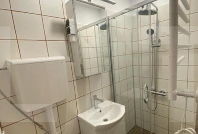 Garsonieră, mobilată în Buziașului - 3