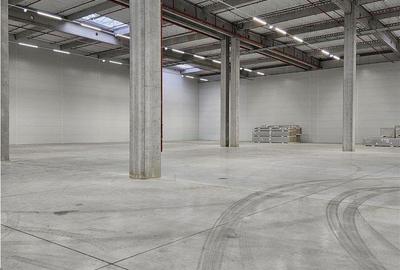 Spațiu comercial, de 3,500 mp, în Florești - 5