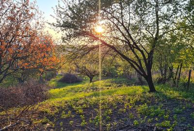 Teren de vânzare în Copou, Viticultori, Iași - 1