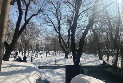 Vilă interbelică de vânzare – vedere directă către Parcul Grădina Icoanei - 5