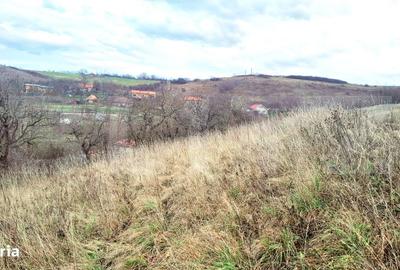 Teren de 1699 mp, în Sopor