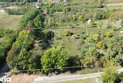 Teren de 2812 mp, în Viile Satu Mare - 5