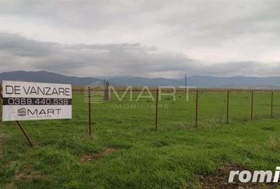 Teren intravilan cu PUZ 30.000 mp Prejmer