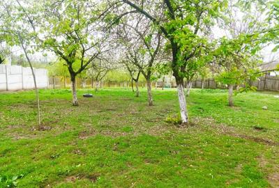 Casă lângă Roșiorii de Vede 200 m.p. Teren 2200 m.p. Sat CUCUEȚI Com SCRIOAȘTEA - 9