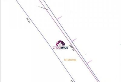 Teren 5600 mp Snagov Lac - 7