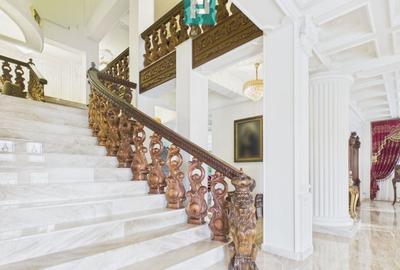 Casă individuală cu 13 camere cu Teren 4850 Mp în Pârneava - 43