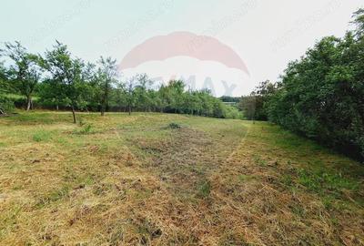 Casa cu teren 3100mp in Hidiselu de Sus - 7