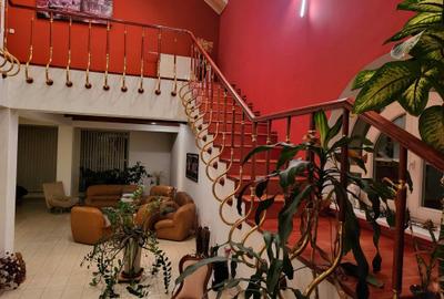 Vila exclusivista, padurea Dumbrava - 3