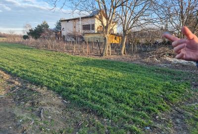 Vand teren in Tandava cu deschidere la PADURE (Gradinari, Giurgiu)
