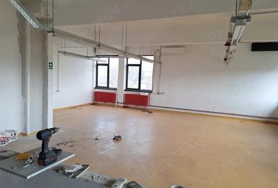 Camil Ressu -Fizicienilor inchiriere spatii - 1