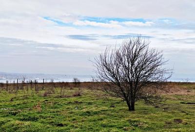 Teren intravilan - 630 mp cu deschidere de 20 ml - 6