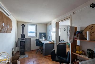 Spațiu comercial, de 1,341 mp, în Valea Crișului