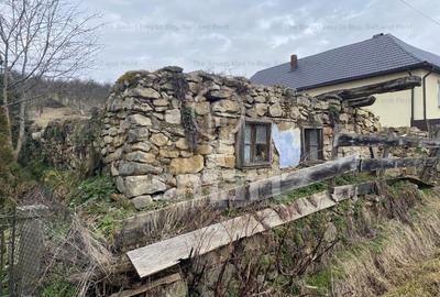 Teren intravilan cu CF 5400mp front 17 Savadisla jud Cluj - 18