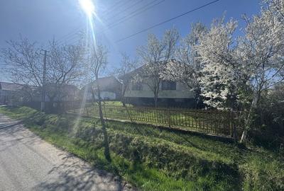 Casă cu 3 camere în Urmeniș - 5