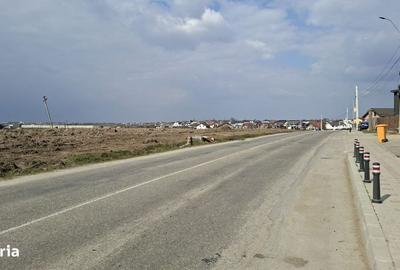 Spațiu comercial, în Bradu - 3