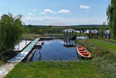 Teren de 2683 mp, în Comana - 8
