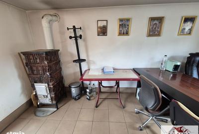 Spațiu comercial, în Bistra - 5