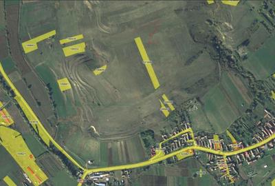 Teren de 11700 mp, în Lovnic - 6