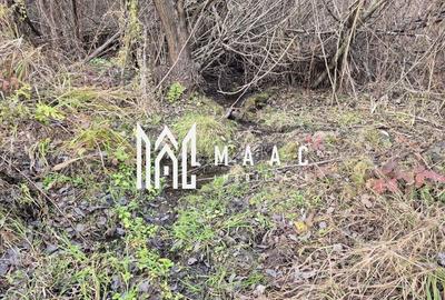 Teren de vanzare | Orlat | Extravilan - 9