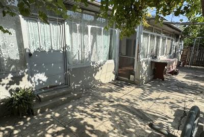 Malu, Giurgiu - 3