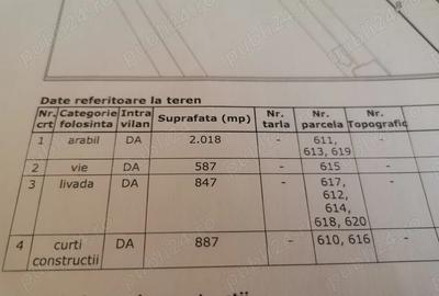 Casa de vanzare Viile Satu Mare - 1