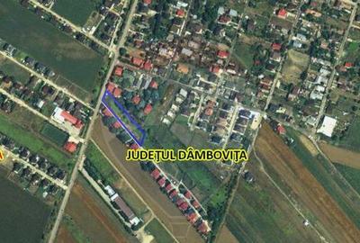Teren pentru dezvoltare imobiliara in Darza Crevedia - 3