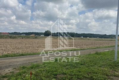 Teren de 608 mp, în Ghiroda - 1