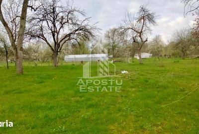 Casă cu 4 camere cu Teren 1079 Mp în Vârfurile - 2