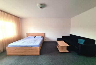 Garasoniera spatioasa 9 min M Muncii - 6