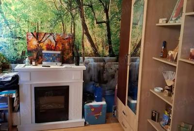 Casa de vanzare , 8 km de Pitesti Casa de vanzare , 8 km de Pitesti - 2