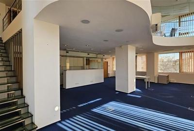 Luxoffice Center - duplex birouri 290 mp - 10