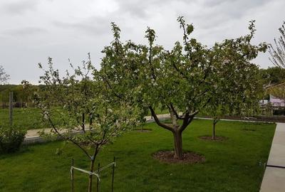 Spațiu comercial, în Ordoreanu - 1