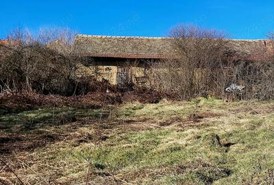 Casă cu 3 camere în Forotic - 2