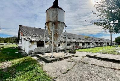 REC3001167 Hala industriala 18500mp Scornicesti-Olt - 8