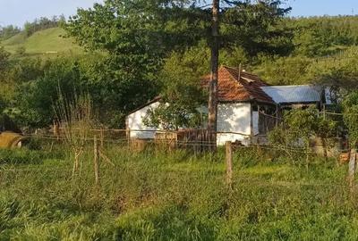 Vand casa cu teren 1 hectar - 1