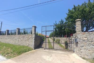 Casă individuală cu 5 camere în Băile Felix