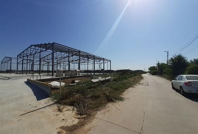 Hale noi in zona Gara Catelu, Drumul Intre Tarlale - 5