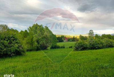 Spațiu comercial, în Predeluț - 4