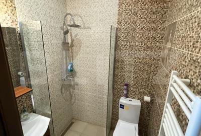 Apartament in curte propie, mobilat, renovat - 5