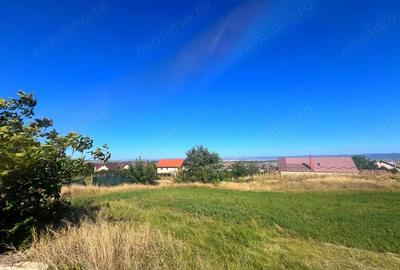 Teren intravilan - 1500 mp, Luizi-Calugara - 3