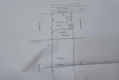 Casă cu 4 camere cu Teren 4000 Mp în Mătăsaru - 2