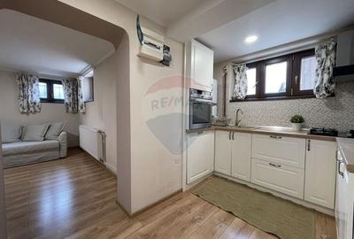 Vila 6 camere si curte prorpie I Cismigiu - Stribei Voda - 36