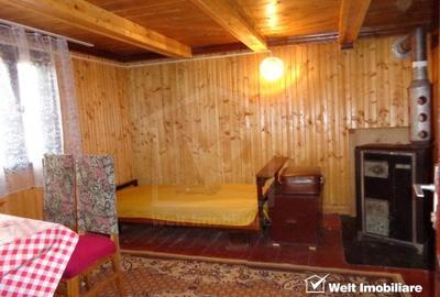 1.6 ha de padure cu poienita, parau la limita curtii, cabana pentru trei familii - 9