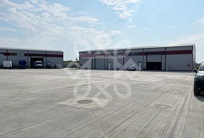Spațiu industrial, de 400 mp, în Vest - 10