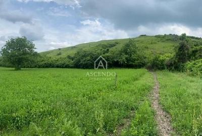 Teren Construcții intravilan de 15900 mp, în Fințești - 1