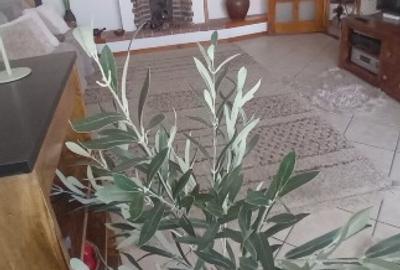 Apartament cu 4 camere decomandat în Doamna Ghica